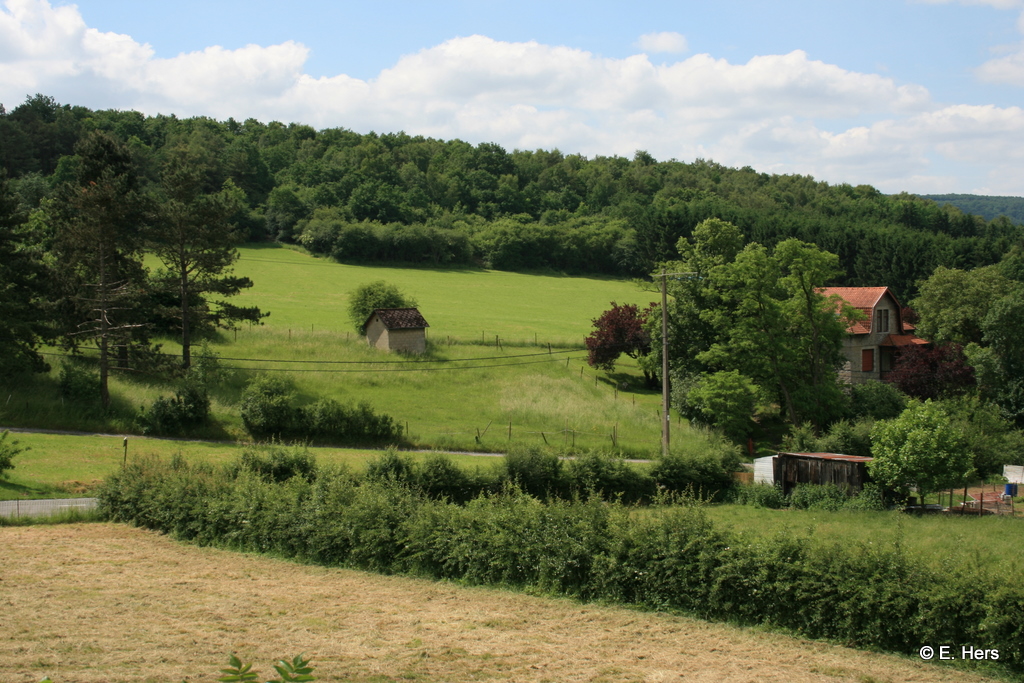 jardin devant le salon