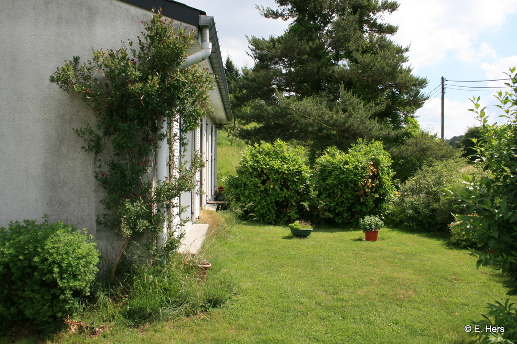 jardin devant le salon